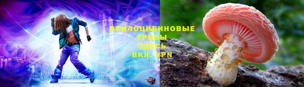 амф Елизово
