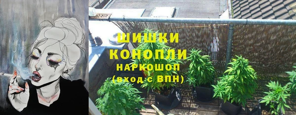 гашик Елабуга