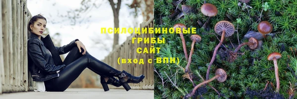 мяу мяу мука Ельня