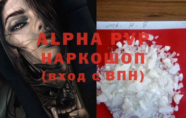 амф Елизово