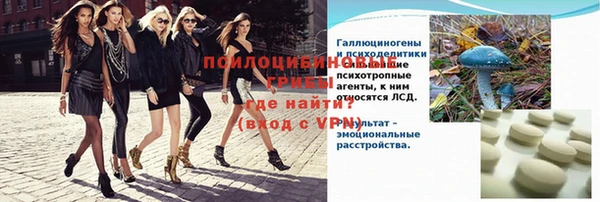 гашик Елабуга