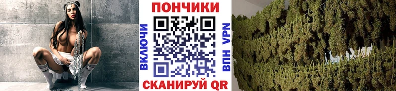 Шишки марихуана AK-47  Западная Двина 